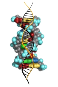 dna-1500071_1920